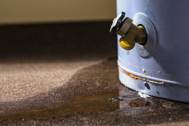 Best Commercial water damage restoration  in De Soto, IA