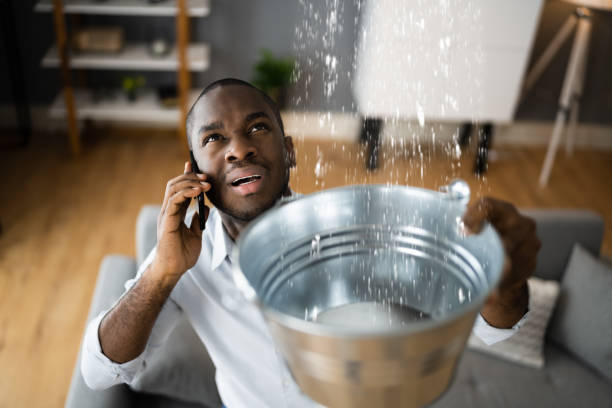 Best Water damage cleanup near me  in De Soto, IA