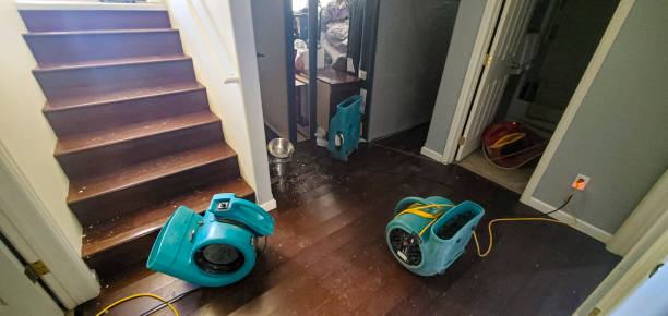 Reliable De Soto, IA Water damage restoration Solutions
