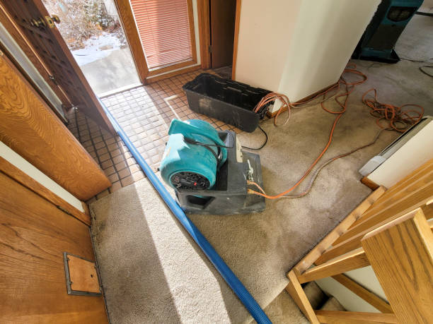 Best Carpet water damage restoration  in De Soto, IA