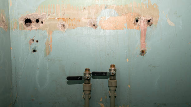 Best 24-hour water damage restoration  in De Soto, IA