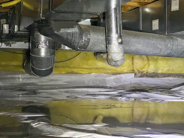 Best Sewage cleanup and water damage restoration  in De Soto, IA