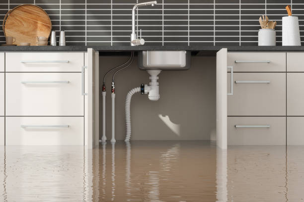 Best Professional water damage repair  in De Soto, IA